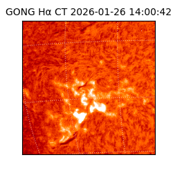 gong - 2026-01-26T14:00:42