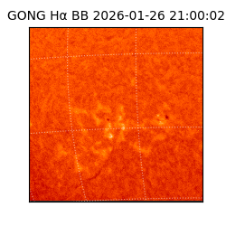 gong - 2026-01-26T21:00:02