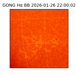 gong - 2026-01-26T22:00:02