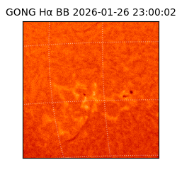 gong - 2026-01-26T23:00:02