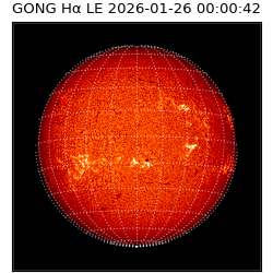 gong - 2026-01-26T00:00:42