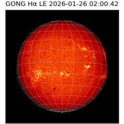 gong - 2026-01-26T02:00:42