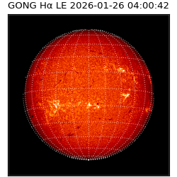 gong - 2026-01-26T04:00:42
