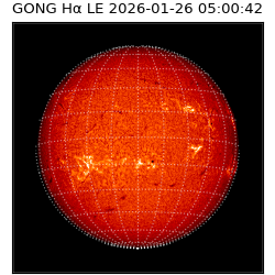 gong - 2026-01-26T05:00:42