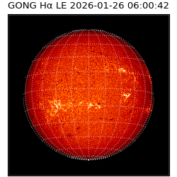 gong - 2026-01-26T06:00:42