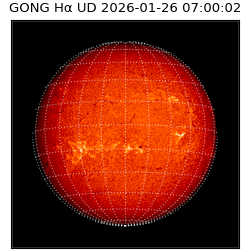 gong - 2026-01-26T07:00:02