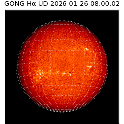gong - 2026-01-26T08:00:02