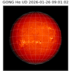 gong - 2026-01-26T09:01:02