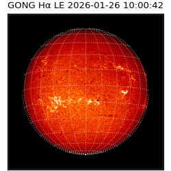 gong - 2026-01-26T10:00:42
