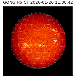 gong - 2026-01-26T11:00:42