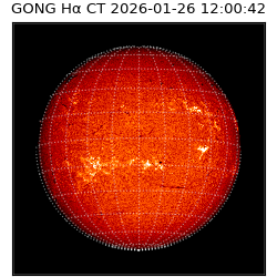 gong - 2026-01-26T12:00:42