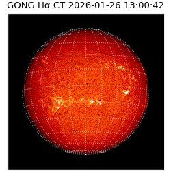 gong - 2026-01-26T13:00:42