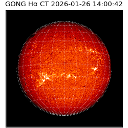 gong - 2026-01-26T14:00:42