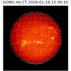 gong - 2026-01-26T15:00:42