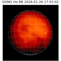 gong - 2026-01-26T17:03:02