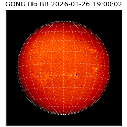 gong - 2026-01-26T19:00:02