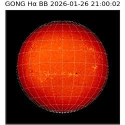gong - 2026-01-26T21:00:02