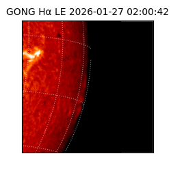 gong - 2026-01-27T02:00:42