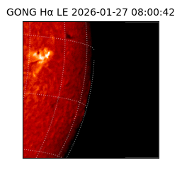 gong - 2026-01-27T08:00:42
