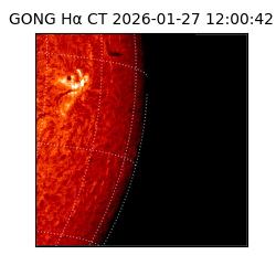 gong - 2026-01-27T12:00:42