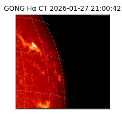 gong - 2026-01-27T21:00:42