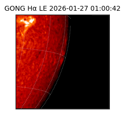 gong - 2026-01-27T01:00:42