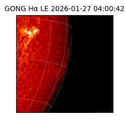 gong - 2026-01-27T04:00:42