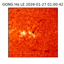 gong - 2026-01-27T01:00:42