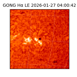 gong - 2026-01-27T04:00:42