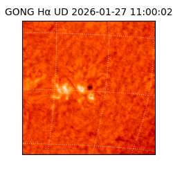 gong - 2026-01-27T11:00:02