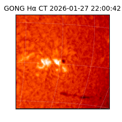 gong - 2026-01-27T22:00:42