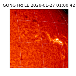 gong - 2026-01-27T01:00:42