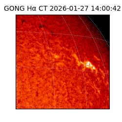 gong - 2026-01-27T14:00:42