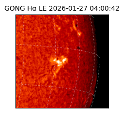 gong - 2026-01-27T04:00:42