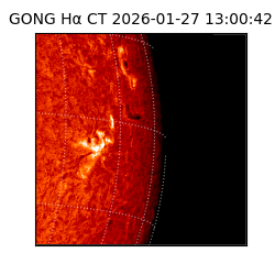 gong - 2026-01-27T13:00:42