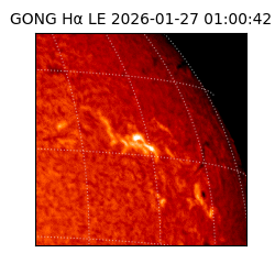 gong - 2026-01-27T01:00:42