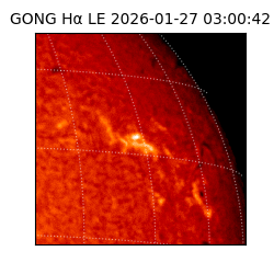 gong - 2026-01-27T03:00:42