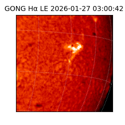 gong - 2026-01-27T03:00:42