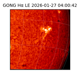 gong - 2026-01-27T04:00:42