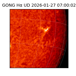 gong - 2026-01-27T07:00:02