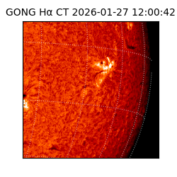 gong - 2026-01-27T12:00:42