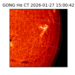 gong - 2026-01-27T15:00:42