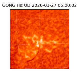 gong - 2026-01-27T05:00:02