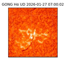 gong - 2026-01-27T07:00:02