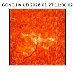 gong - 2026-01-27T11:00:02