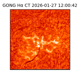 gong - 2026-01-27T12:00:42