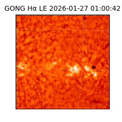 gong - 2026-01-27T01:00:42