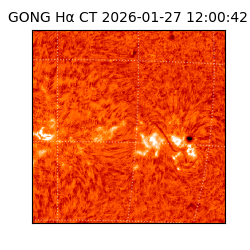 gong - 2026-01-27T12:00:42