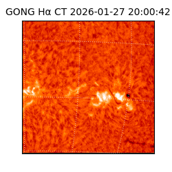 gong - 2026-01-27T20:00:42