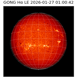 gong - 2026-01-27T01:00:42